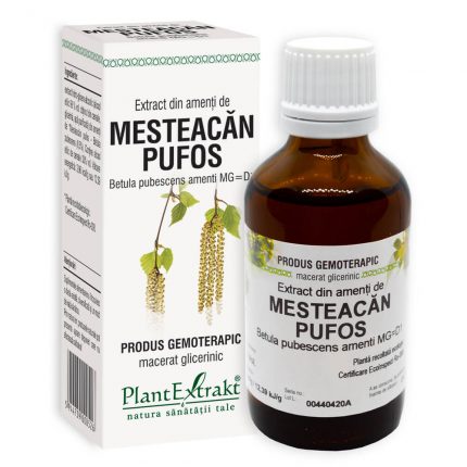 Mesteacăn pufos - Extract din amenți de mesteacăn pufos - extract gemoterapic