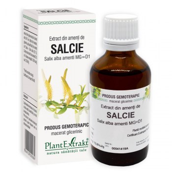 Salcie - Extract din amenți de salcie - extract gemoterapic