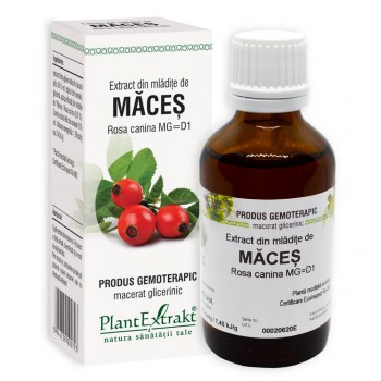 Măceș - Extract din mladite de măceș - extract gemoterapic