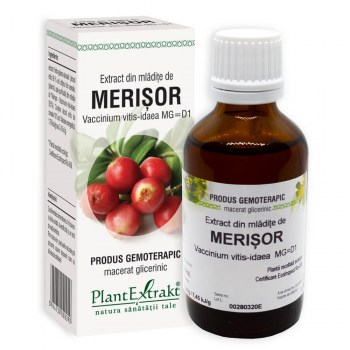 Merișor -Extract din mlădițe de merișor- extract gemoterapic