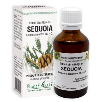 Sequoia - Extract din mlădițe de sequoia - extract gemoterapic