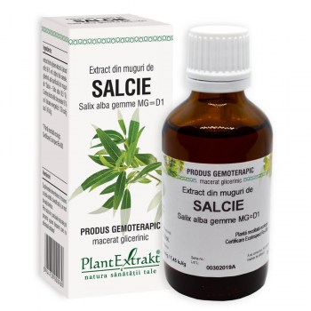 Salcie - Extract din muguri de salcie - extract gemoterapic