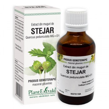 Stejar - Extract din muguri de stejar - extract gemoterapic