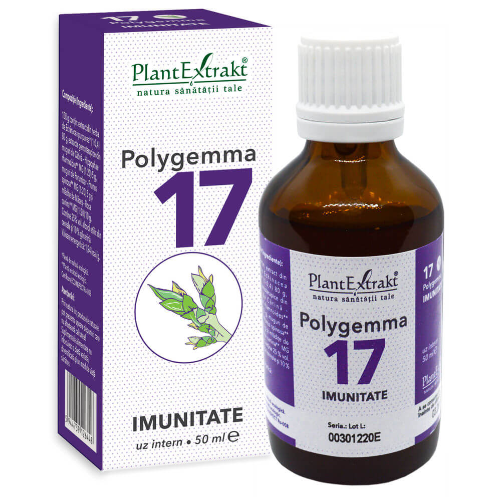polygemma-17.jpg