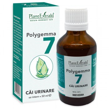 Polygemma 7 Căi Urinare